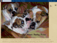 sanantoniobulldogrescue.info