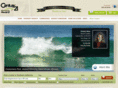 shelleybeier.com