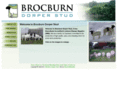 brocburndorpers.com