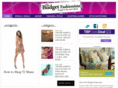 budgetfashionista.biz