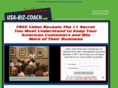 international-business-coach.com