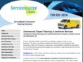 nyccarpetcleaners.biz