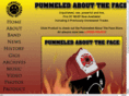 pummeledabouttheface.com