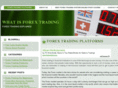 savvyforextrading.com