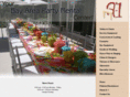 a-1partyrental.com
