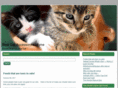 bestcataccessories.com