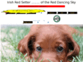 irish-red-setter.info