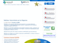 netsuitemexico.net