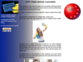 spotfreehousecleaning.com