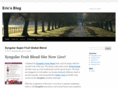 e2-marketing-blog.com