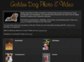 goldendogphoto.com