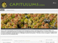 capitulums.com