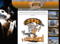 jtheng.com