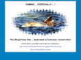 whaletales.co.uk
