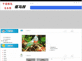 86qnj.com