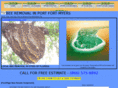 beeremovalinfortmyersflorida.com