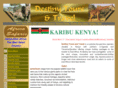 destinysafaris.com