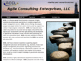 acelconsulting.com