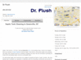 drflush.biz