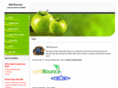 wellbounce.com
