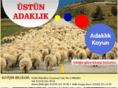 adaklikkoyun.net