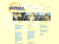 bigswelldesign.com