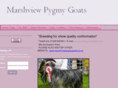 marshviewpygmygoats.com