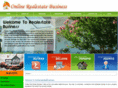 onlinerealestatebusiness.info