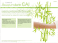 acupuncturecai.com