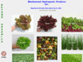 bblettuce.com
