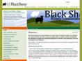 blacksheepzone.com