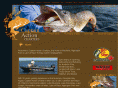 captainactioncharters.com