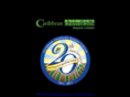 caribbeanchemicalsgy.com
