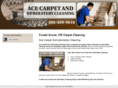 acecarpetandupholsterycleaning.com