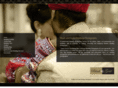blackandgoldweddingphotography.com