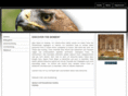 discoverthemoment.net