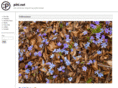 mortenpihl.com