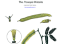 prosopis.net