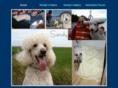 sandythepoodle.com