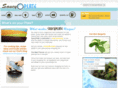saucyplate.com