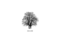 treesonwhite.com