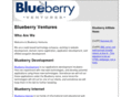 blueberryventures.com