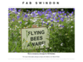 fabswindon.org