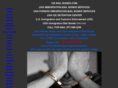 icebailbonds.com