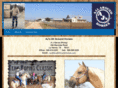 ajsallaroundhorses.com