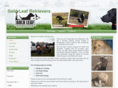 goldleafretrievers.com