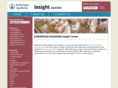 insightbi.com