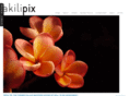 akilipix.com