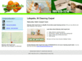 naturallysafecarpet.com