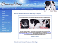 portuguesewaterdogpuppiesforsale.net